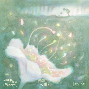 收听杨熙恩的我的花, 你的光 (Bloom)歌词歌曲