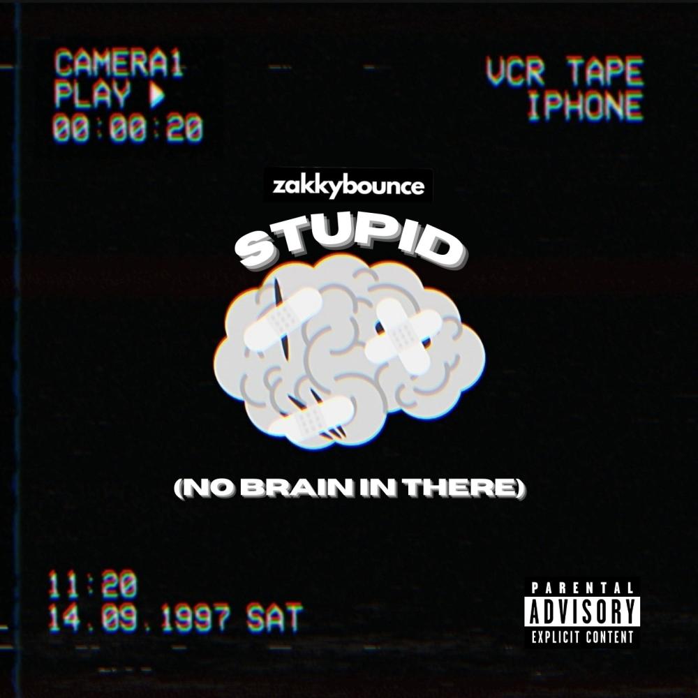 Stupid (No Brain In There) (Explicit)