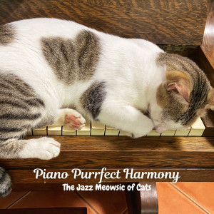 Album Piano Purrfect Harmony: The Jazz Meowsic of Cats from Coffee House Instrumental Jazz Playlist