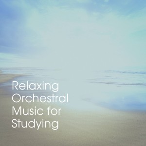 Relaxing Orchestral Music for Studying dari Various