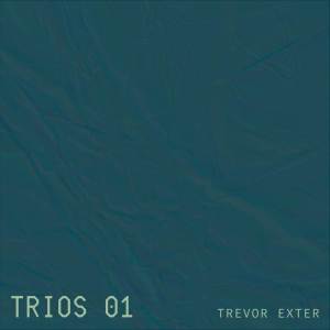 อัลบัม Trios 01 ศิลปิน Trevor Exter