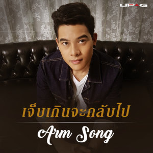 อัลบัม เจ็บเกินจะกลับไป - Single ศิลปิน อาร์ม ซอง