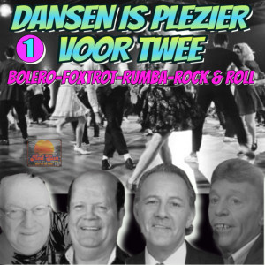 Album Dansen Is Plezier Voor 2, Vol. 1 from Mike Vincent