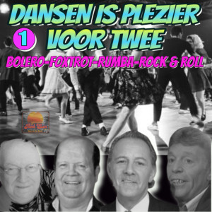 Listen to Veel Is 't Niet (2021 Remastered Remix) song with lyrics from Brigitte