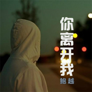 Listen to 你离开我 song with lyrics from 鲍越