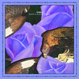 Listen to Black And Blue song with lyrics from HVWKS