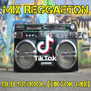 Dengarkan lagu Mix Mix Reggaeton Old School (TikTok Mix) nyanyian Dj TikTok Viral dengan lirik