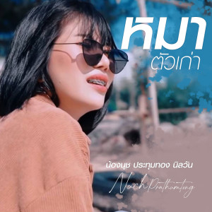 ดาวน์โหลดและฟังเพลง หมาตัวเก่า พร้อมเนื้อเพลงจาก น้องนุช ประทุมทอง นิลวัน