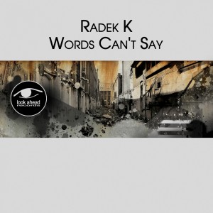 Listen to Words Can't Say song with lyrics from Radek K