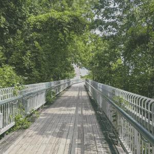 ดาวน์โหลดและฟังเพลง loving พร้อมเนื้อเพลงจาก fungeey