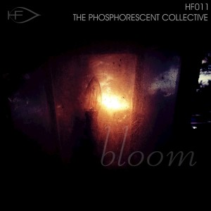 Dengarkan lagu Bloom nyanyian The Phosphorescent Collective dengan lirik