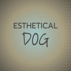 อัลบัม Esthetical Dog ศิลปิน Various Artists