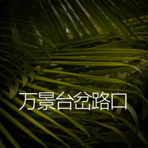 Album 万景台岔路口 oleh 杨千霈