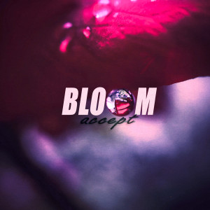 Listen to Accept (Original Mix) song with lyrics from Bloom
