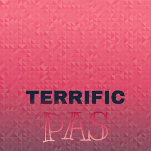 Album Terrific Pas from Various