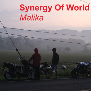 Synergy of World
