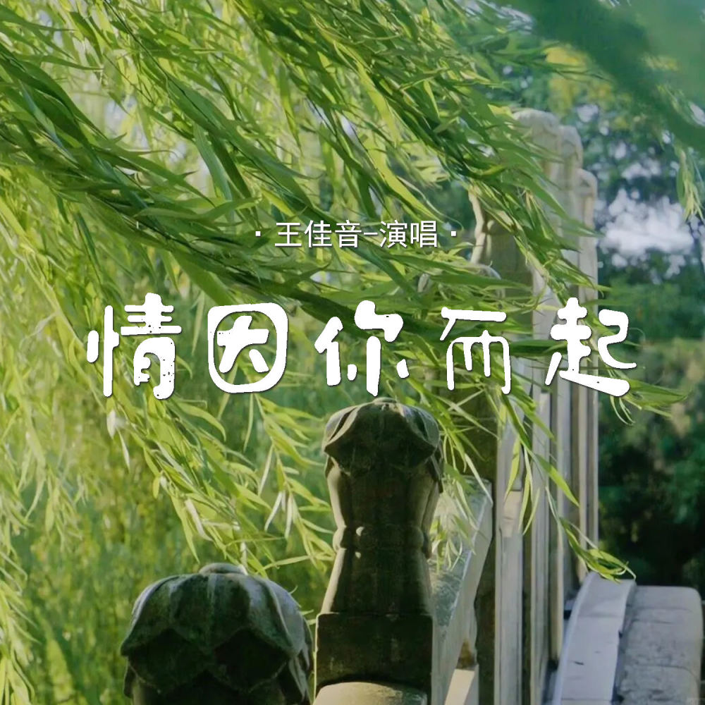 情因你而起