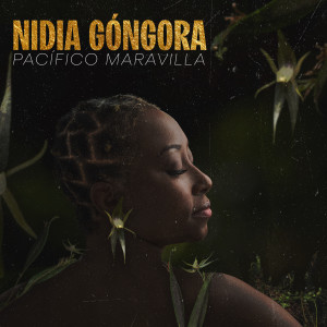 收聽Nidia Gongora的Mi Bunde歌詞歌曲