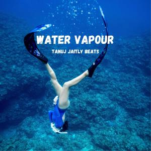收听Tanuj Jaitly的Water Vapour歌词歌曲