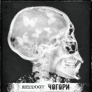 Listen to Дурочёк song with lyrics from reddogy