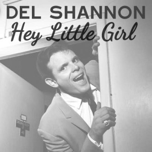 ดาวน์โหลดและฟังเพลง Hey Little Girl พร้อมเนื้อเพลงจาก Del Shannon