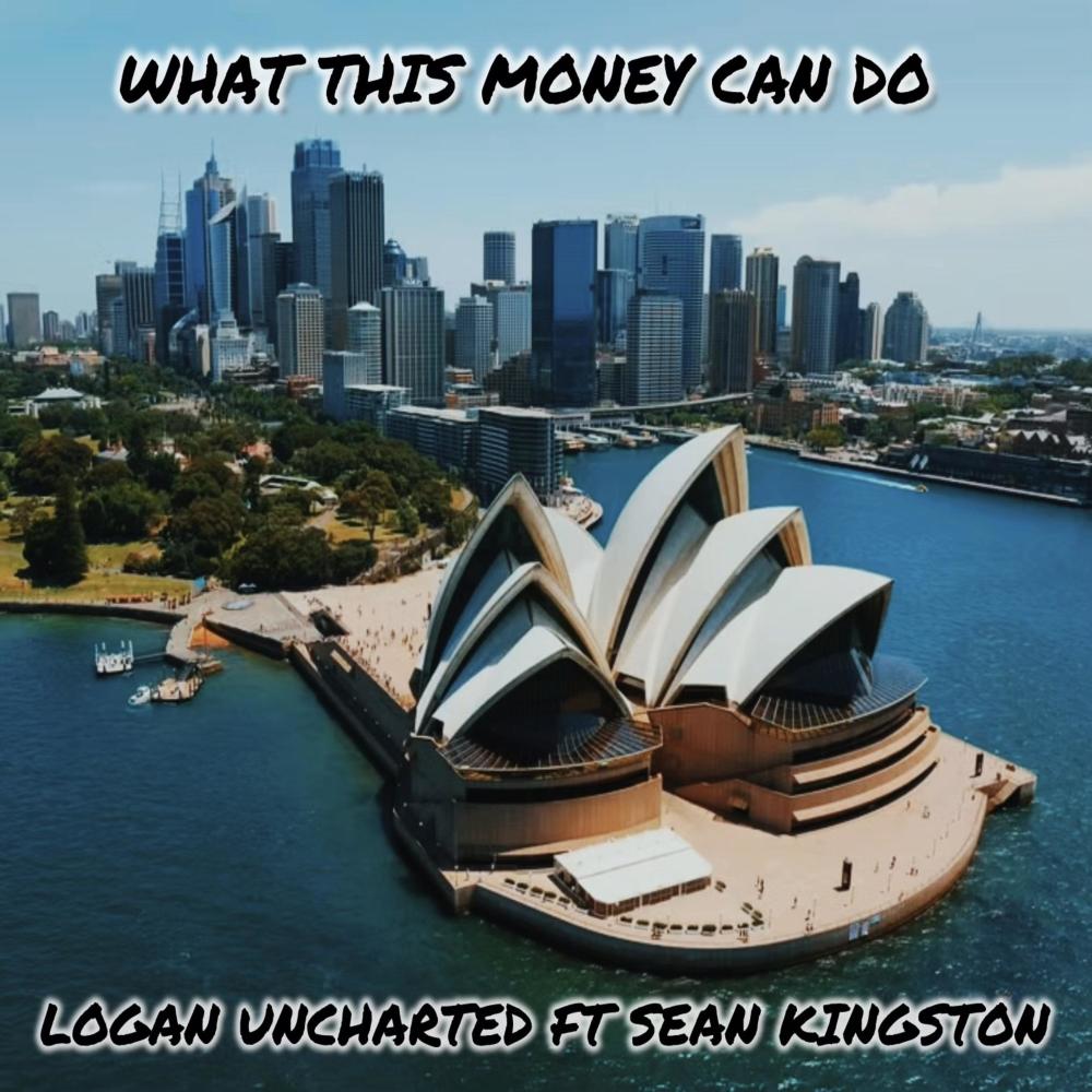 What This Money Can Do (feat. Sean Kingston) (Explicit)