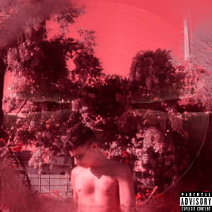 ดาวน์โหลดและฟังเพลง Mergulho Retrógrado พร้อมเนื้อเพลงจาก Brasileiro