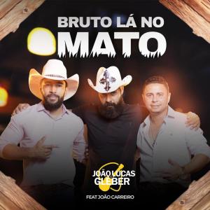Album Bruto Lá No Mato from 