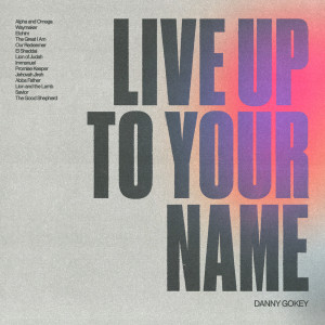 Danny Gokey的專輯Live Up To Your Name