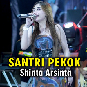 Dengarkan Santri Pekok lagu dari Shinta Arsinta dengan lirik