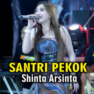 Santri Pekok dari Shinta Arsinta