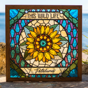 This Wild Life的专辑Petaluma (Explicit)