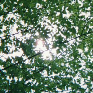 收聽rei brown的Bubble歌詞歌曲