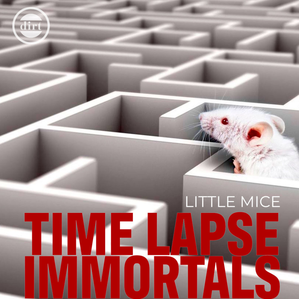 Little Mice