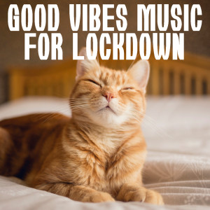 Album Good Vibes Music For Lockdown oleh Various Artists