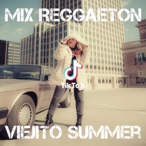 Dengarkan lagu Mix Reggaeton Viejito Summer nyanyian Dj Viral TikToker dengan lirik