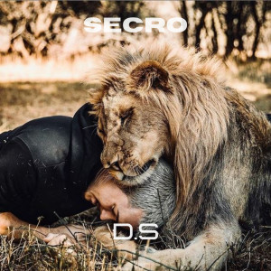 ดาวน์โหลดและฟังเพลง D.S พร้อมเนื้อเพลงจาก Secro