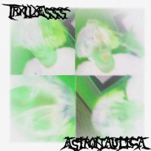 trxllxesss的專輯Astronautica