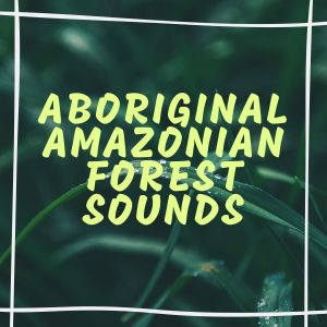 收聽Amazonian Sounds的Raining Piano歌詞歌曲