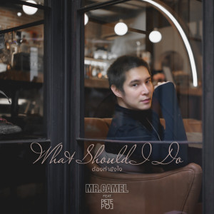 อัลบัม ต้องทำยังไง (What should I do) - Single ศิลปิน พีท พล