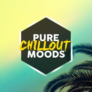 อัลบัม Pure Chillout Moods ศิลปิน Chillout Beach Club