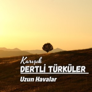 อัลบัม Karışık Dertli Türküler Uzun Havalar ศิลปิน Çesitli Sanatçilar