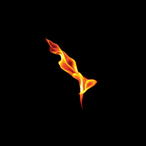 Album Dark On Fire oleh Turin Brakes