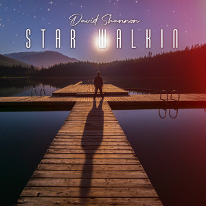 David Shannon的專輯STAR WALKIN