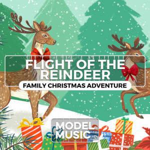 Album Flight of The Reindeer - Family Christmas Adventure from Alexander Okunev