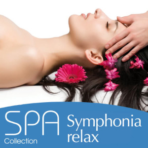 ดาวน์โหลดและฟังเพลง The Bird Of The Paradise พร้อมเนื้อเพลงจาก Thierry Malet