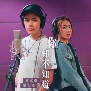 收听古家峯的你知不知道 (电视剧《知否知否应是绿肥红瘦》主题曲)歌词歌曲