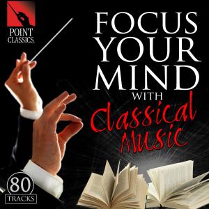 收聽Peter Schmalfuss的Fantasie-Impromptu in C-Sharp Minor, Op. 66歌詞歌曲