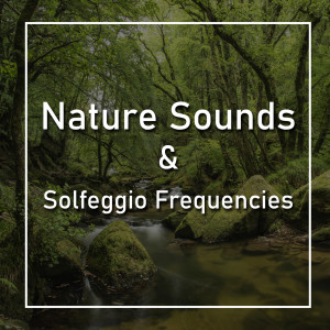 Dengarkan Rain Thunder and Solfeggio 528 Hz lagu dari Nature Sounds dengan lirik