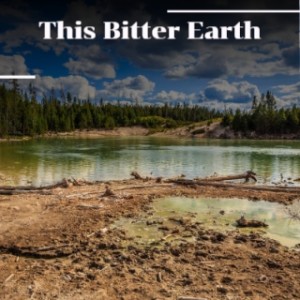 收聽緋聞女孩的This Bitter Earth歌詞歌曲